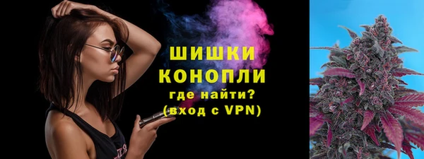 сатива Кодинск