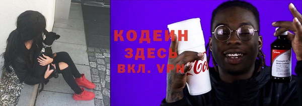 прущие грибы Корсаков