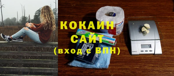 прущие грибы Корсаков