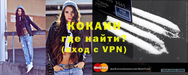 прущие грибы Корсаков