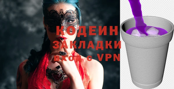 прущие грибы Корсаков
