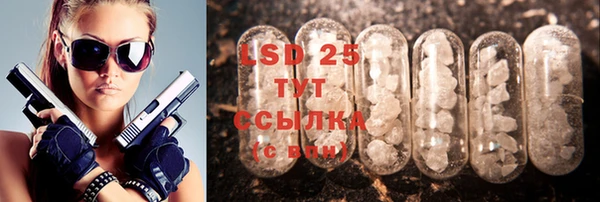 прущие грибы Корсаков